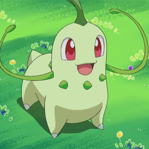 Chikorita
